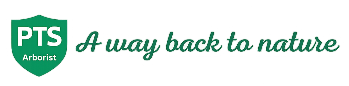 Peralta Tree Service and landscpaing